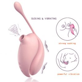 2 in 1 Sucking and Egg Vibrator
